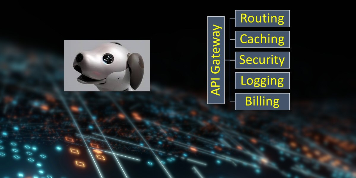 Our Tech Strategy Implementing an API Gateway for Toshikiso