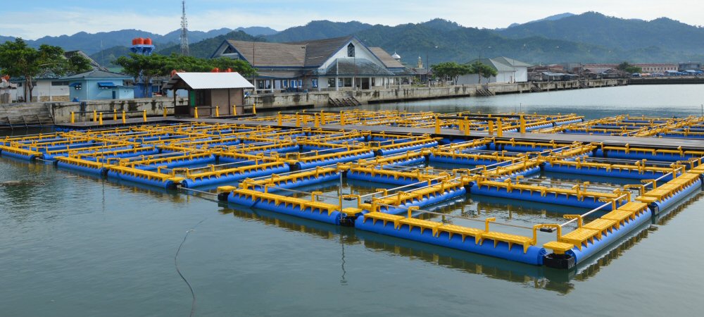 Creating an Urban Food Supply Line Using Blockchain and Offshore Aquaculture